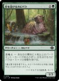 【JPN/LCI/Foil★】日を浴びるカピバラ/Basking Capybara [緑] 『C』