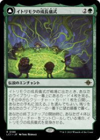 【JPN/LCI】イトリモクの成長儀式/Growing Rites of Itlimoc [緑] 『R』