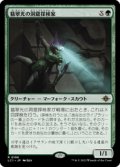 【JPN/LCI】翡翠光の洞窟探検家/Jadelight Spelunker [緑] 『R』