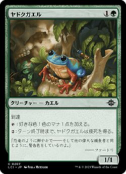 画像1: 【JPN/LCI】ヤドクガエル/Poison Dart Frog [緑] 『C』