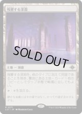 【JPN/LCI/FOIL★】残響する深淵/Echoing Deeps [土地] 『R』
