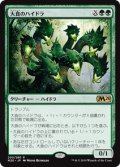 【JPN/M20/FOIL★】大食のハイドラ/Voracious Hydra 『R』 [緑]【プロモパック】
