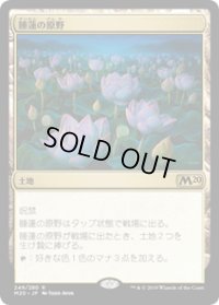 【JPN/M20】睡蓮の原野/Lotus Field 『R』 [土地]