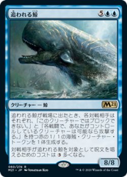画像1: 【JPN/M21/Foil★】追われる鯨/Pursued Whale 『R』 [青]