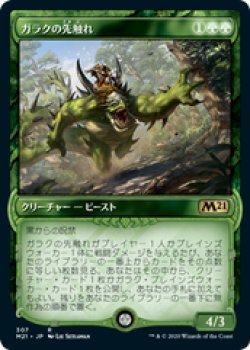 画像1: 【JPN/M21-BF/Foil★】ガラクの先触れ/Garruk's Harbinger 『緑』【ショーケース】