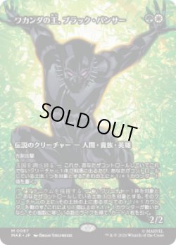 画像1: 【JPN/MAR】ワカンダの王、ブラック・パンサー/Black Panther, Wakandan King［マルチ］『M』