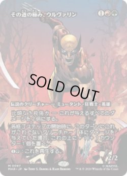 画像1: 【JPN/MAR】その道の極み、ウルヴァリン/Wolverine, Best There Is［マルチ］『M』