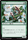【JPN/MH1】花の壁/Wall of Blossoms 『U』 [緑]