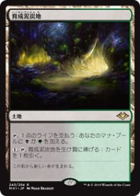 【JPN/MH1】育成泥炭地/Nurturing Peatland 『R』 [土地]　