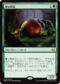 【JPN/MM3/FOIL★】漁る軟泥/Scavenging Ooze 