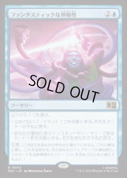 画像1: 【JPN/MSC】ファンタスティックな伸縮性/Fantastic Elasticity［青］『R』