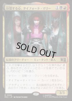 画像1: 【JPN/MSC】分裂する心、タイフォード・マリー/Typhoid Mary, Fractured［マルチ］『R』