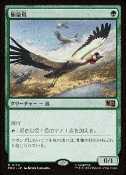 画像1: 【JPN/MSC】極楽鳥/Birds of Paradise［緑］『R』  