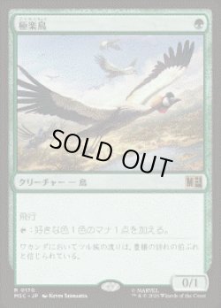 画像1: 【JPN/MSC】極楽鳥/Birds of Paradise［緑］『R』
