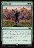 【JPN/MSC】圧倒する暴走/Overwhelming Stampede［緑］『R』