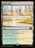 【JPN/MSC】豪勢な大通り/Bountiful Promenade［土地］『R』