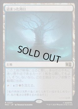 画像1: 【JPN/MSC】詰まった河口/Choked Estuary［土地］『R』
