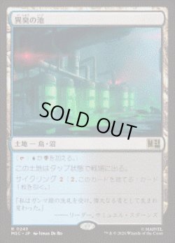 画像1: 【JPN/MSC】異臭の池/Fetid Pools［土地］『R』