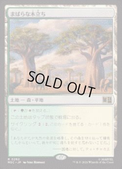 画像1: 【JPN/MSC】まばらな木立ち/Scattered Groves［土地］『R』