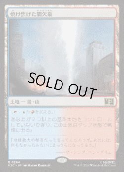 画像1: 【JPN/MSC】閑静な中庭/Scorched Geyser［土地］『R』