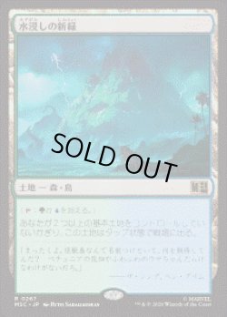 画像1: 【JPN/MSC】水浸しの新緑/Sodden Verdure［土地］『R』