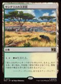 【JPN/MSC】サングラスの大草原/Sungrass Prairie［土地］『R』