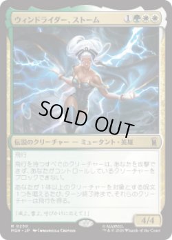 画像1: 【JPN/MSH】ウィンドライダー、ストーム/Storm, Windrider［マルチ］『R』