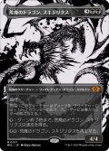 【JPN/MUL】荒廃のドラゴン、スキジリクス/Skithiryx, the Blight Dragon [黒] 『M』