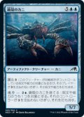 【JPN/NEO】鏡殻のカニ/Mirrorshell Crab [青] 『C』
