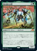 【JPN/NEO/Foil★】西の樹の木霊/Kodama of the West Tree [緑] 『M』【プロモパック】