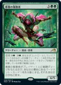 【JPN/NEO】春葉の報復者/Spring-Leaf Avenger [緑] 『R』