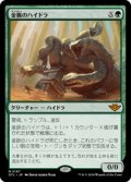 【JPN/OTJ】金脈のハイドラ/Goldvein Hydra [緑] 『M』