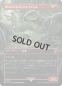 【JPN/REX】狩りをするヴェロキラプトル/Hunting Velociraptor [赤] 『R』