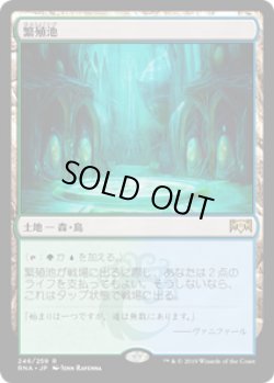 画像1: 【JPN/RNA】繁殖池/Breeding Pool 『R』 [土地]