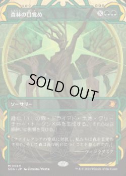 画像1: 【JPN/SOA】森林の目覚め/Awaken the Woods『緑』『M』