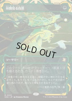 画像1: 【JPN/SOA】垣間見る自然/Glimpse of Nature『緑』『R』