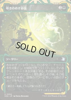 画像1: 【JPN/SOA】叩きのめす妙技/Knockout Maneuver『緑』『U』