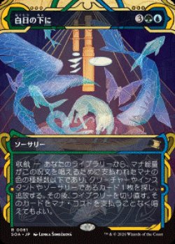画像1: 【JPN/SOA】白日の下に/Bring to Light [マルチ]『R』