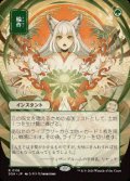 【JPN/SOA】輪作/Crop Rotation [緑]『R』■日本絵■
