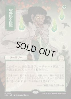 画像1: 【JPN/SOA】垣間見る自然/Glimpse of Nature『緑』『R』