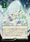 【JPN/SOA】夏の帳/Veil of Summer [緑]『R』■日本絵■