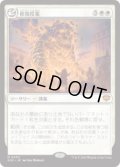 【JPN/SOS】修復授業/Restoration Seminar『白』『M』