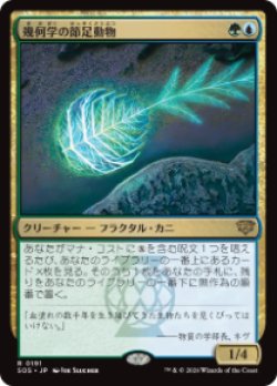 画像1: 【JPN/SOS/FOIL★】幾何学の節足動物/Geometer's Arthropod『マルチ』『R』