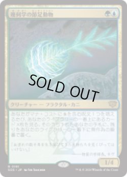 画像1: 【JPN/SOS】幾何学の節足動物/Geometer's Arthropod『マルチ』『R』