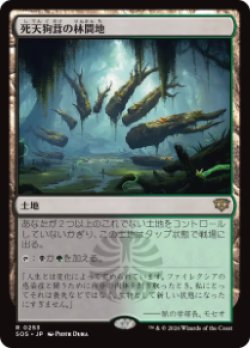 画像1: 【JPN/SOS/FOIL★】死天狗茸の林間地/Deathcap Glade『土地』『R』