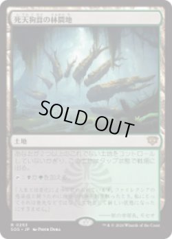 画像1: 【JPN/SOS】死天狗茸の林間地/Deathcap Glade『土地』『R』