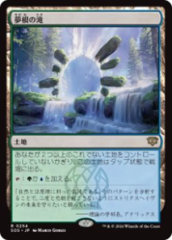 画像1: 【JPN/SOS】夢根の滝/Dreamroot Cascade『土地』『R』
