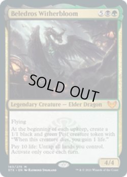 画像1: 【ENG/STX/Foil★】ベレドロス・ウィザーブルーム/Beledros Witherbloom 『R』 [マルチ]