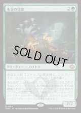 【JPN/TDM/FOIL★】木立の守部/Warden of the Grove [緑] 『R』