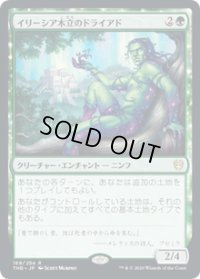 【JPN/THB】イリーシア木立のドライアド/Dryad of the Ilysian Grove 『R』 [緑]